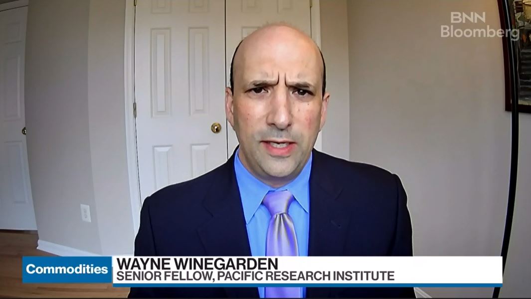Wayne Winegarden headshot